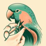 Persona recortando el pico de un loro con tijeras, mostrando cuidado y precisión.